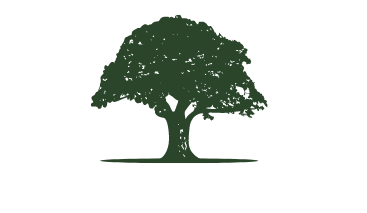 OrzechowaPark
